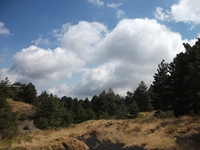 rrente Quarantore-20110911 141